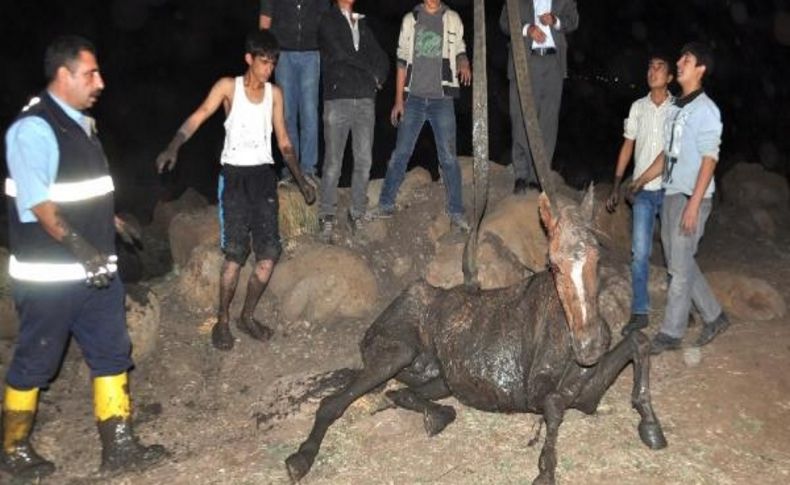 Balçiğa Saplanan Ati Itfaiye Ekipleri Kurtardi