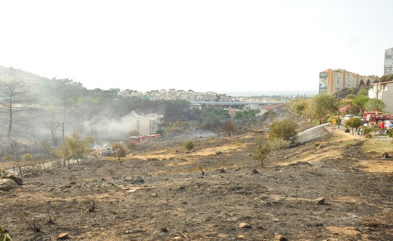 Başkan Çalkaya'dan fidan daveti