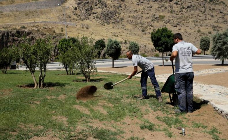 Barış ağaçları Karşıyaka’da hayat buldu