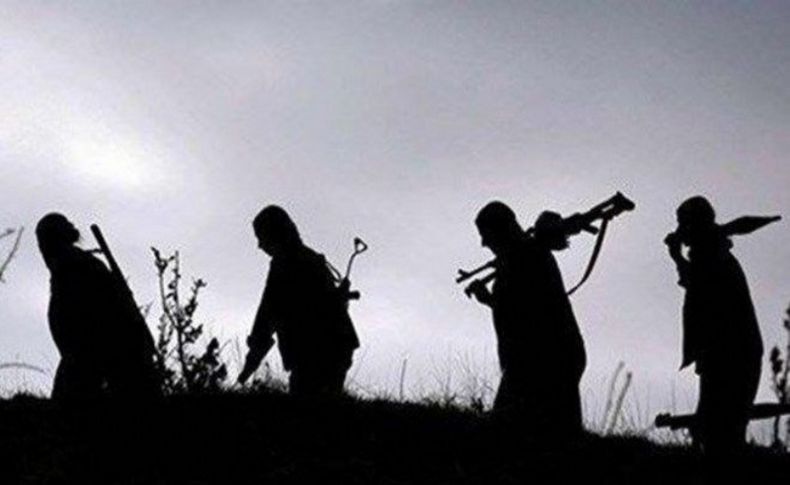 Barış Pınarı'nda 20 terörist etkisiz hale getirildi