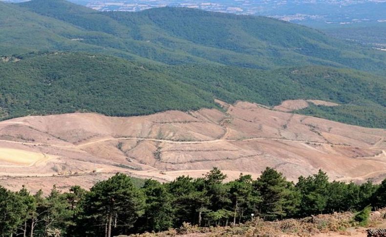 Baro'nun Kaz Dağları' mektubuna Kanada'dan yanıt geldi!