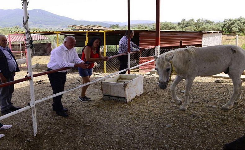 Başkan Karakayalı'dan şiddet gören hayvanların yaşadığı barınağa destek sözü