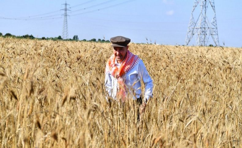 Başkan Soyer tohumunu serpmişti...Bugün hasadını yaptı