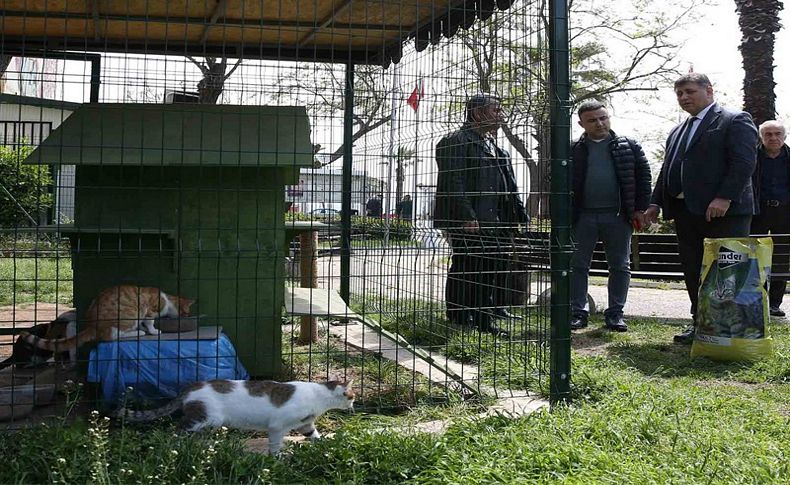 Başkan Tugay sokak hayvanlarına mama dağıttı