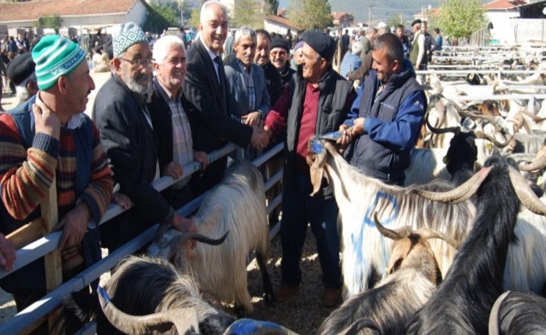Başkan Tatlıoğlu, hayvan pazarını gezdi.