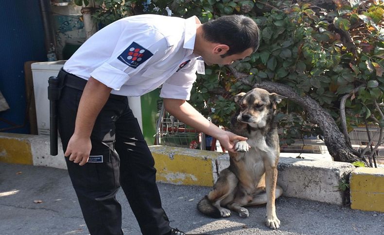 Basmane'nin maskotu tedavi bekliyor