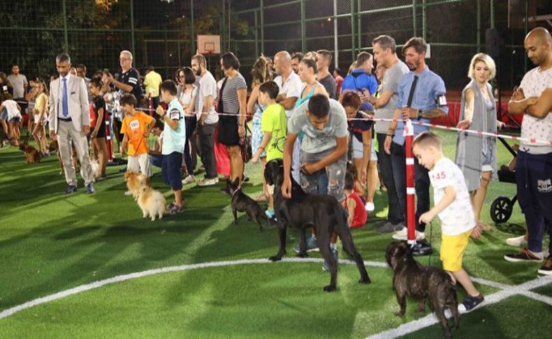 Bayraklı’da köpek ırkları yarıştı