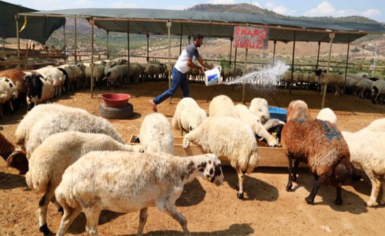 Bayraklı Kurban Bayramı’na hazır!