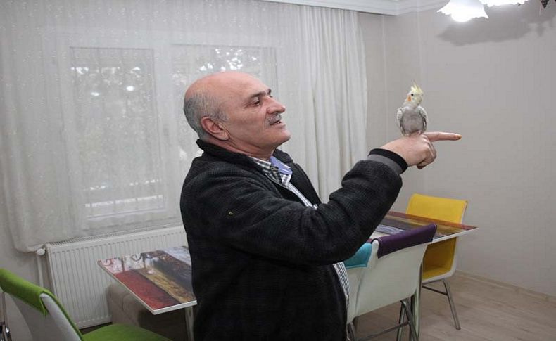 Belediye ekipleri papağanı kurtardı