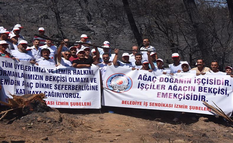 Belediye işçileri ağaçlandırma kampanyasına destek verecek