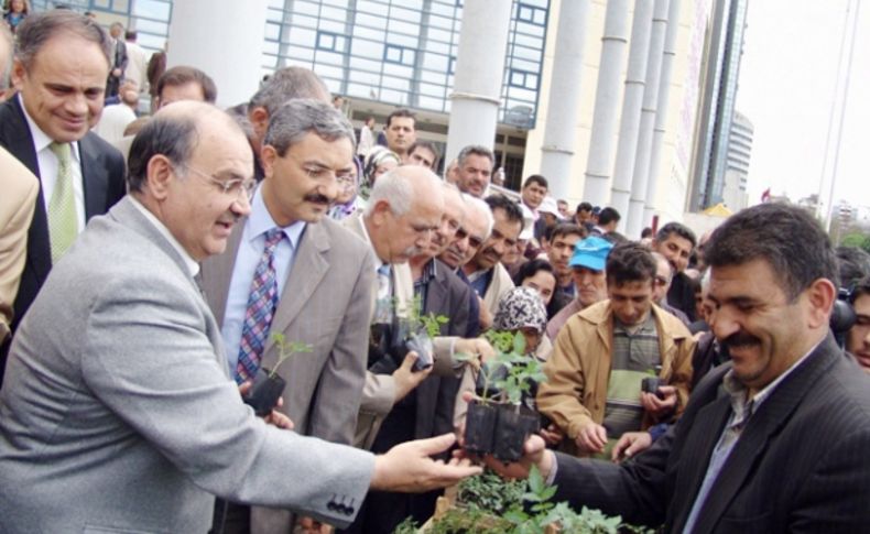 Belediye organik domates fidesi dağıtacak