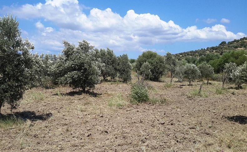 Bergama Belediyesi o alanlara talip