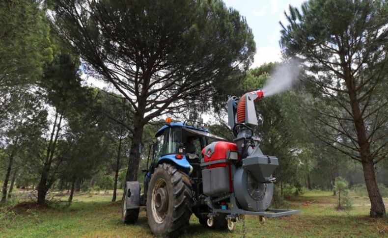 Bergama’da çam fıstığı için uygulamalı çalışma