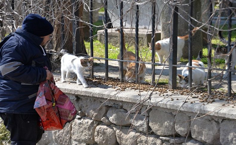 Bergama'da can dostlarına mama desteği!