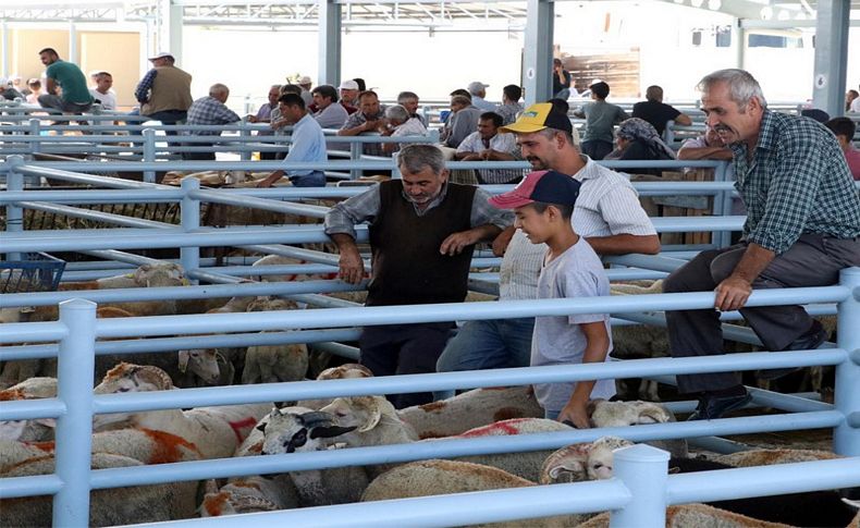 Bergama'daki yeni hayvan satış yeri beğenildi