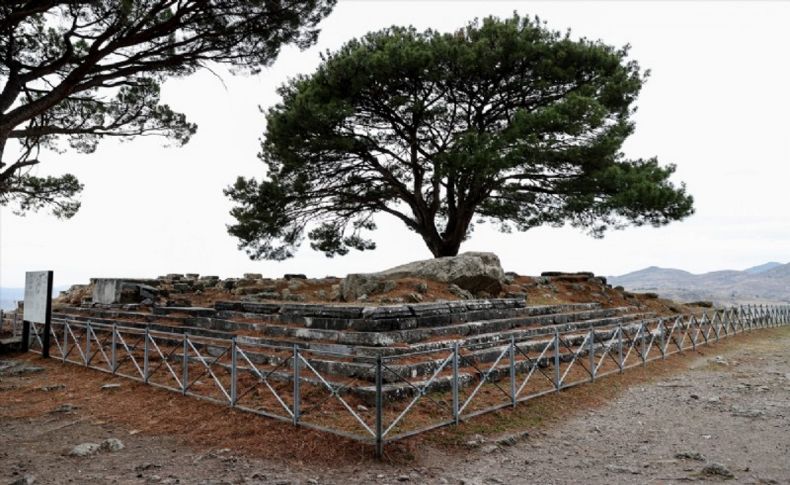 Bergama Zeus Sunağı'nı istiyor