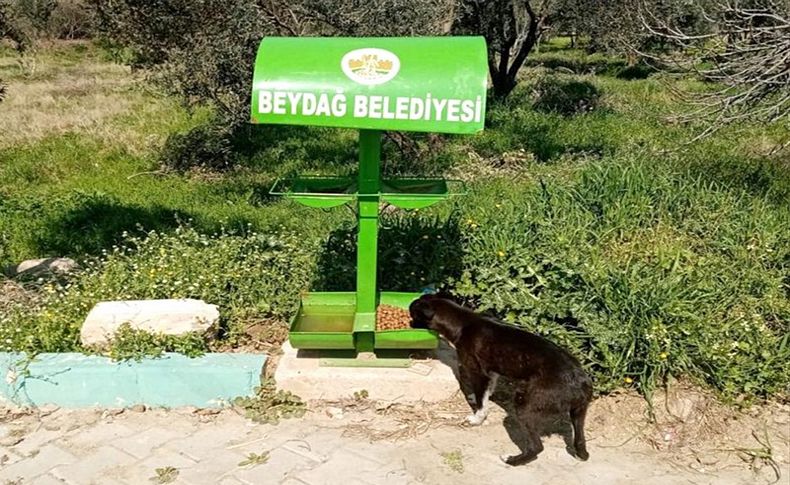 Beydağ'da hayvanlar için mama bırakıldı