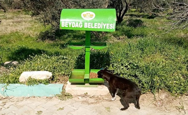 Beydağ'da hayvanlar için mama bırakıldı