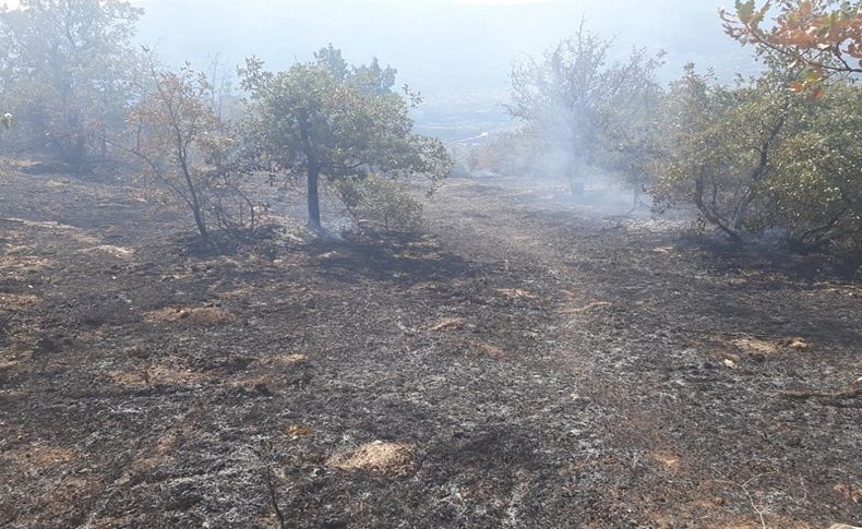 Beydağ'da orman yangını korkuttu