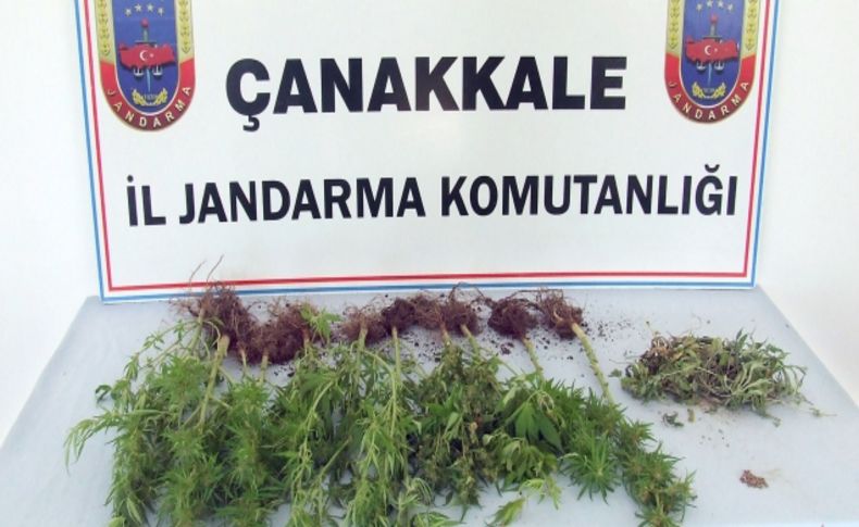 Biga'da uyuşturucu ele geçirildi