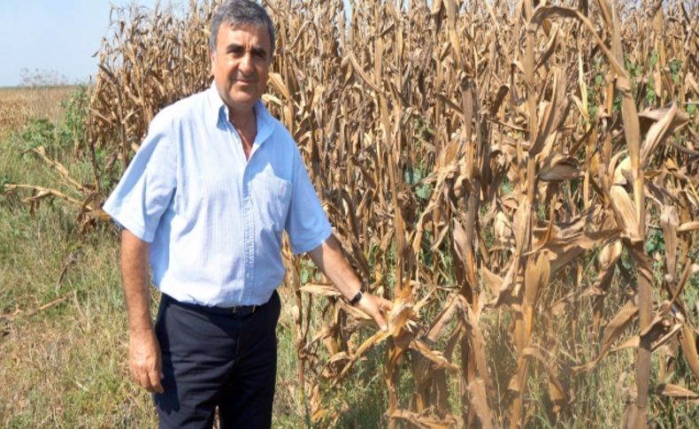 Bilici: TMO'nun fiyat politikasının devamlı olması lazım