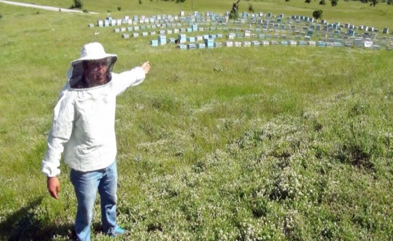 Bitlis’te bu yıl 2 bin 500 ton bal üretimi hedefleniyor
