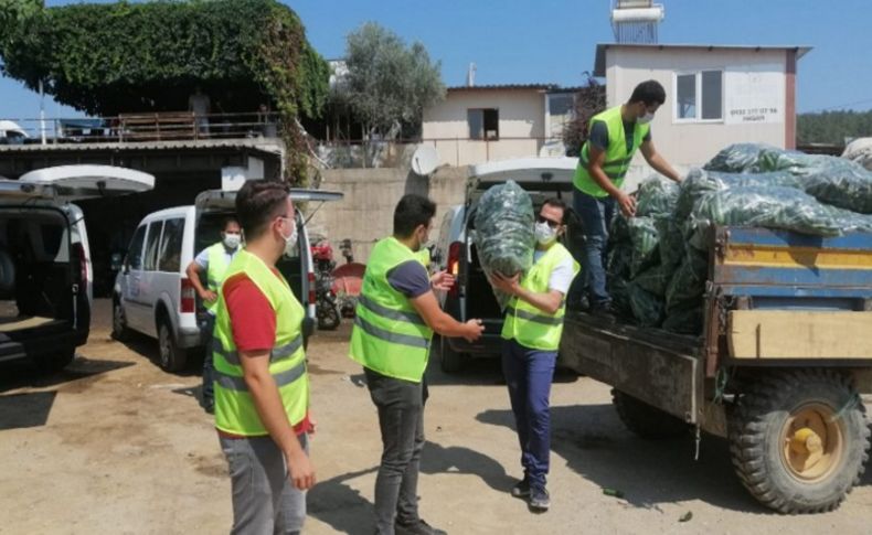 Biz Varız dayanışması sürüyor: 48 ton taze salatalık dağıtıldı