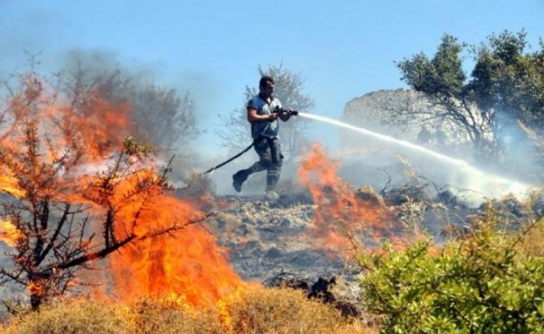 Bodrum'da korkutan yangın