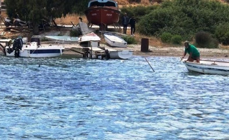 Bodrum'da tepki çeken olay: Mızrakla öldürdü