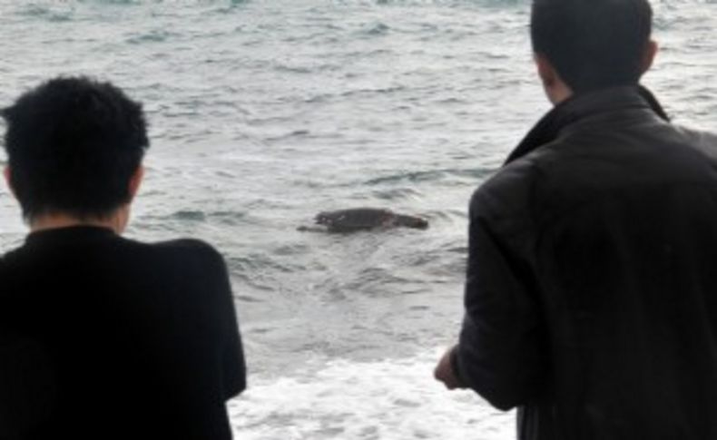 'Doğayı mahvediyoruz'