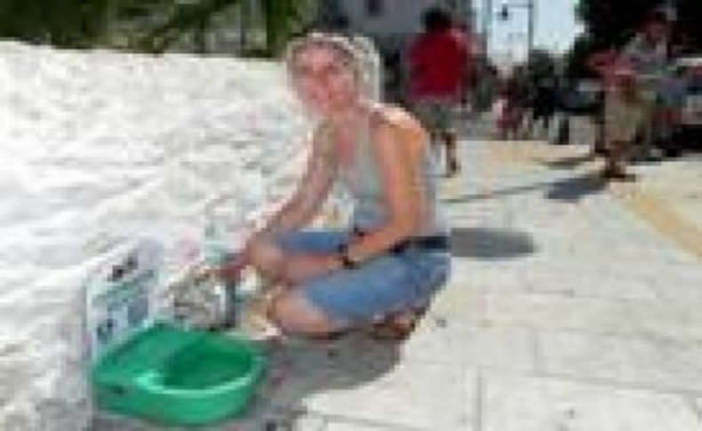 Bodrum'da sokak hayvanları için otomatik suluk
