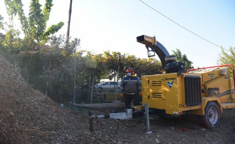 Bornova’da budama yapılan dallar geri dönüşümle tekrar kazandırılıyor