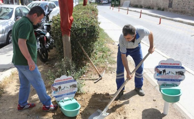 Bornova’da sokaktaki dostlar için örnek projeler