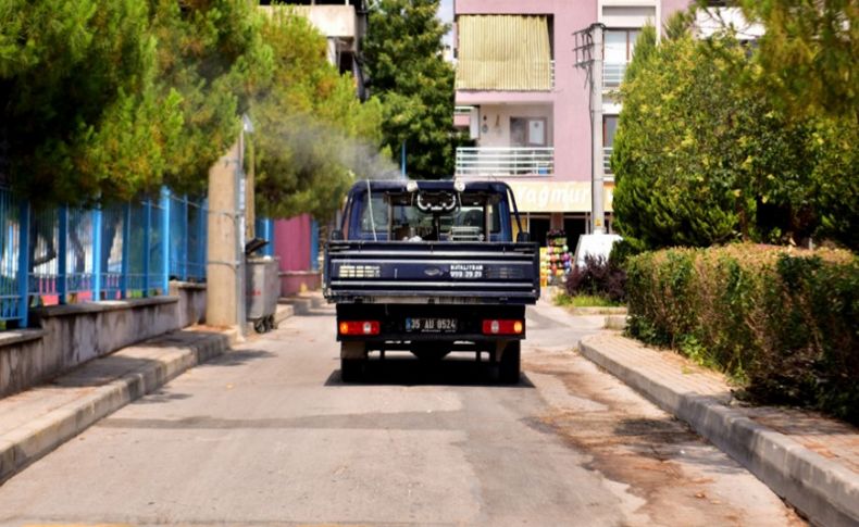 Bornova’da zararlı haşere harekatı!