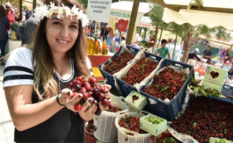 Bornova Kiraz Festivali’ne dördüncü yılında da büyük ilgi