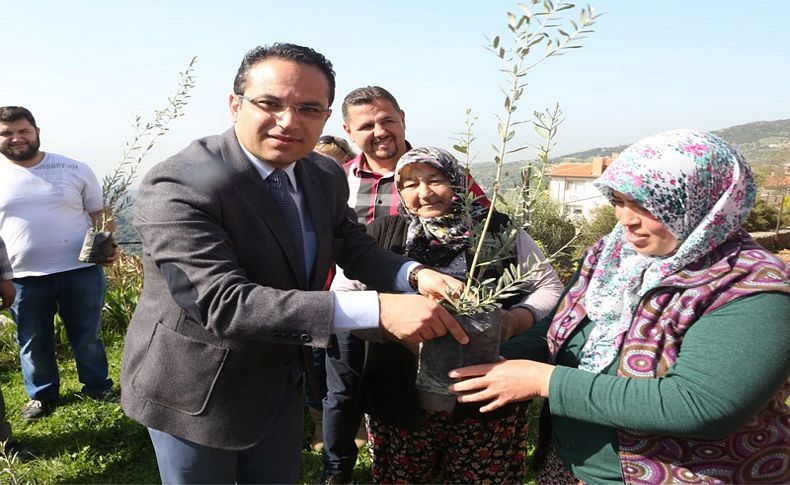 Bornova’nın ayvası var narı var
