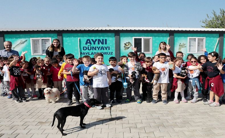 Bornova sokak hayvanları için de sıcak bir yuva