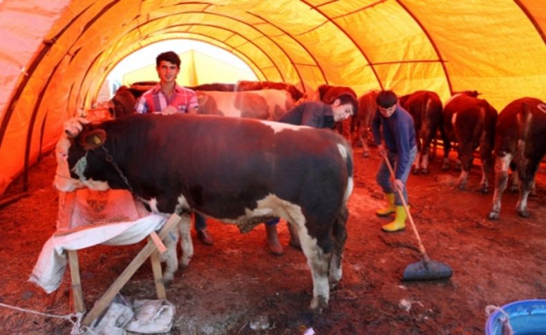 Bornova Belediyesi’nden modern kurban satış yeri