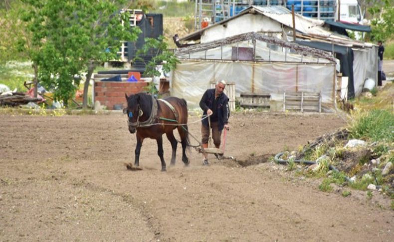 Bu fotoğraf İzmir'in göbeğinde çekildi