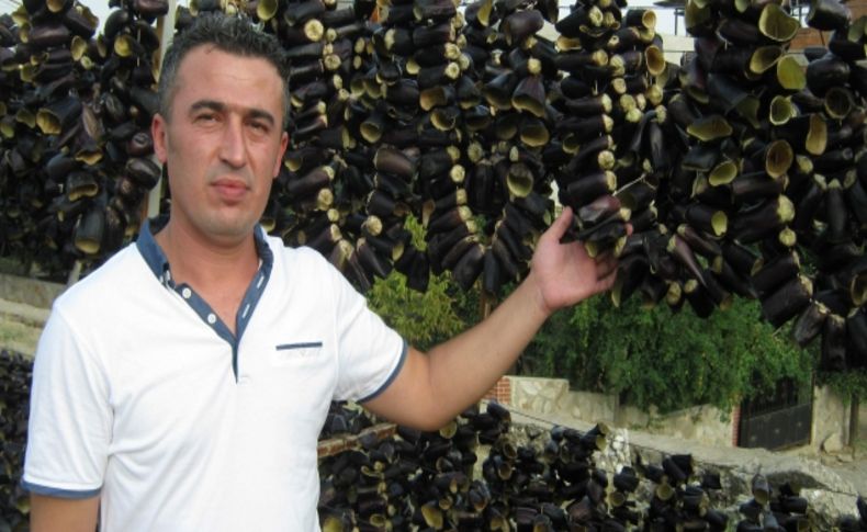 Bu mahallede herkes patlıcan işi yapıyor