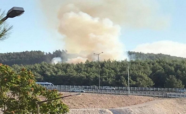 Buca'da çıkan orman yangını söndürüldü