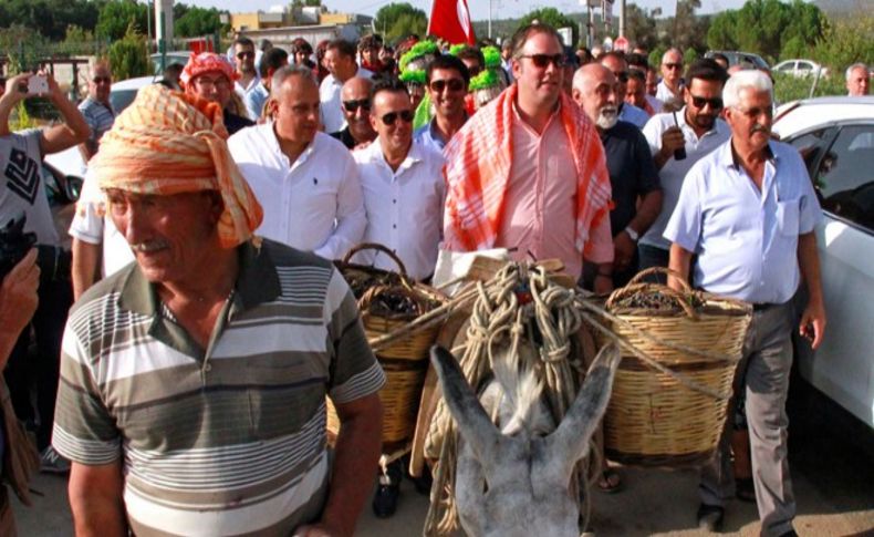 Buca'da ilk hasat heyecanı