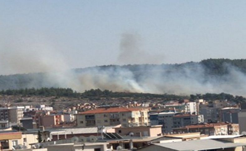 Buca'da korkutan orman yangını