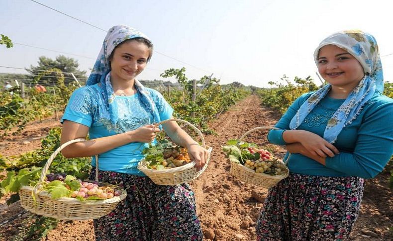 Buca’da üzüm şenliği heyecanı