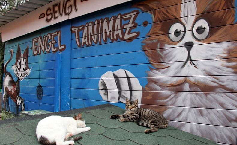 Buca'ya Özgür Hayvan Parkı