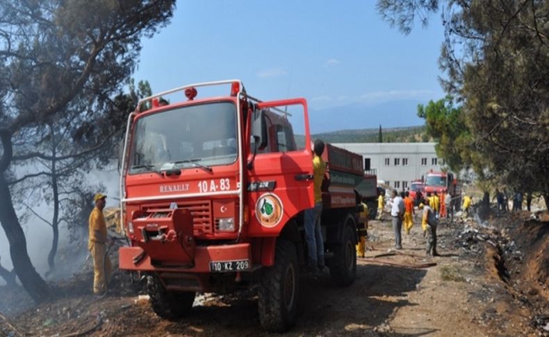 Burhaniye'de bir dönümlük fıstıkçamı alanı yandı