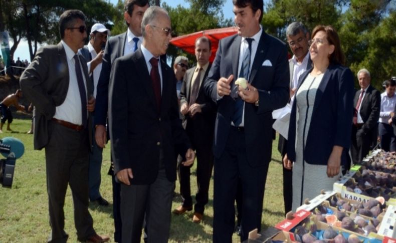 Bursa siyah inciri festivalle tanıtıldı