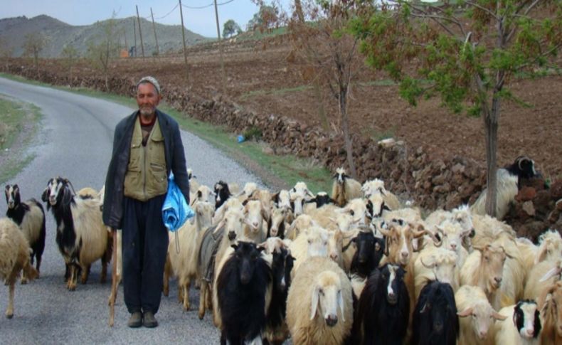 Bursa'da besicilere kuduz uyarısı