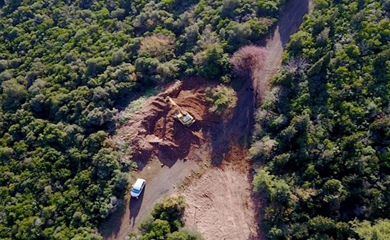 Büyükada'da 'at vebası' karantinası: 81 at itlaf edildi