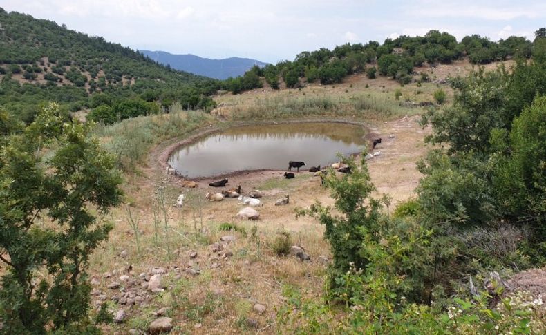 Büyükşehir’den 10 yeni hayvan içme suyu göleti